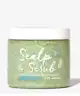 Umberto Giannini - Scalp Scrub