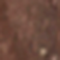 URBA0136F