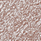 URBA0253F