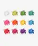 Viseart - Editorial Brights VisePRO