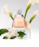 Vera Wang - Vera Wang For Women Eau de Parfum