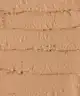 wet n wild - Photo Focus Stick Foundation