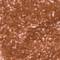 WOND0056F