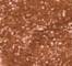 WOND0056F