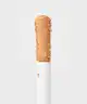 ZOEVA - Authentik Skin Perfector