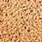 ZOEV0491F