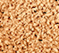 ZOEV0491F