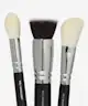 ZOEVA - The Essential Brush Set