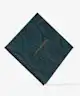 Lethal Cosmetics - MAGNETIC™ Pressed Powder Evergreen Palette